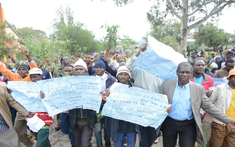 Naivasha flower firm count losses as workers strike over pay
