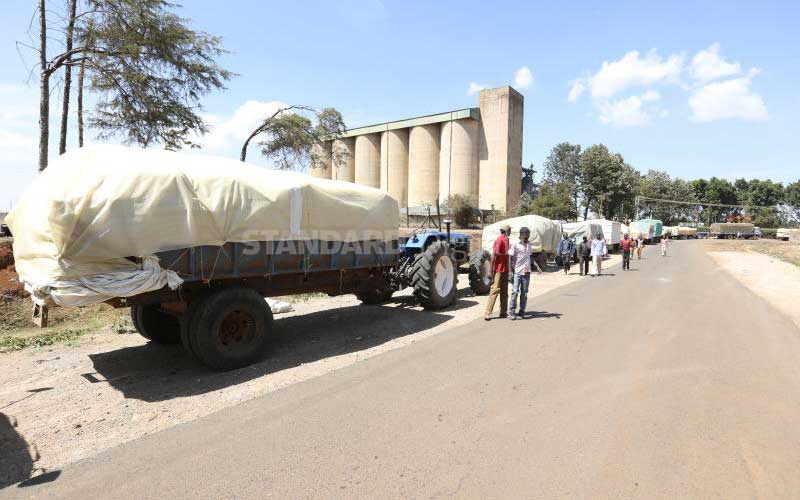 NCPB hit by shortage of bags to store grain