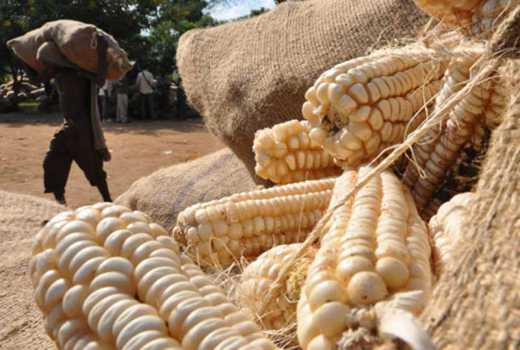 Police seize 400 bags of fertilizer