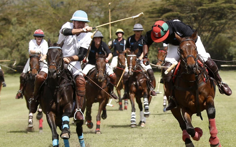 Polo: Gross dropped from team to Zimbabwe tournament