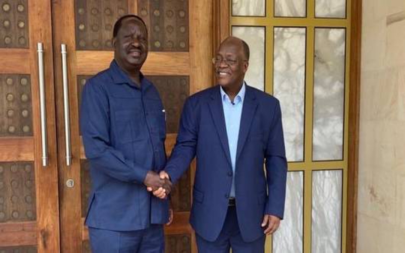 Raila visits Magufuli amid ‘health scare’