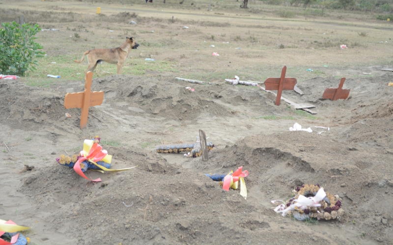 Shock as dogs feast on human remains in Naivasha