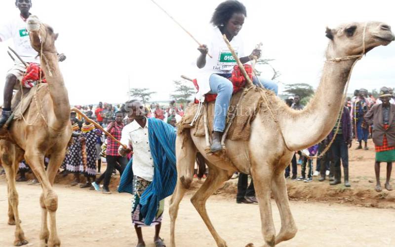 Two camel races give hope to schoolgirl seeking school fees