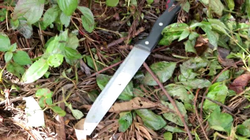 Two couples, two kitchen knives and two deaths in a day