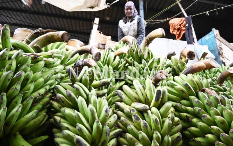 What you need to export bananas and broccoli to South Korea