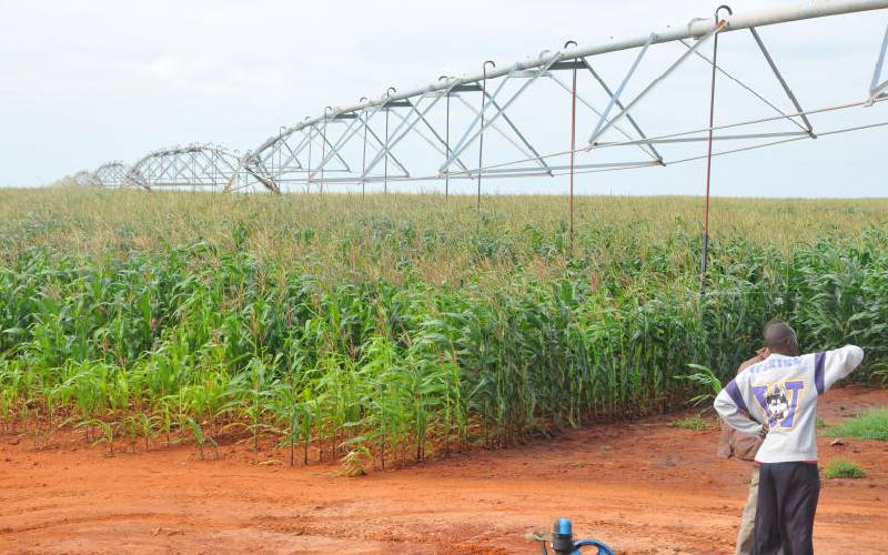 Why many public mega projects fail