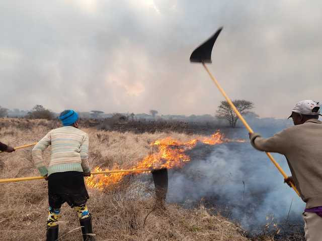 Wildfires invade Tsavo, wipe out millions of vegetation 