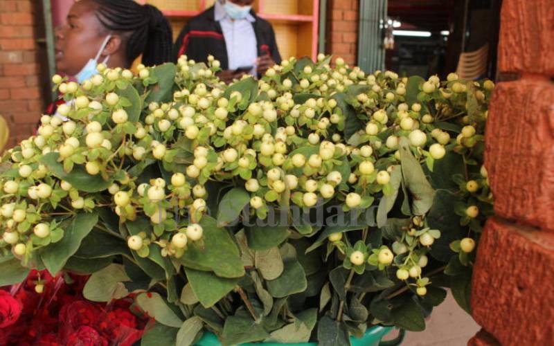 White roses. Unique.
