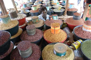  Improved market access yields higher incomes for farmers