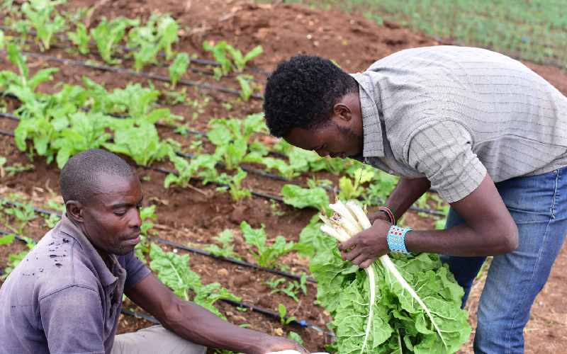 Addressing climatic changes will boost farmers’ returns