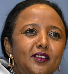 Amina Mohamed: We’ll push for Rome Statute change