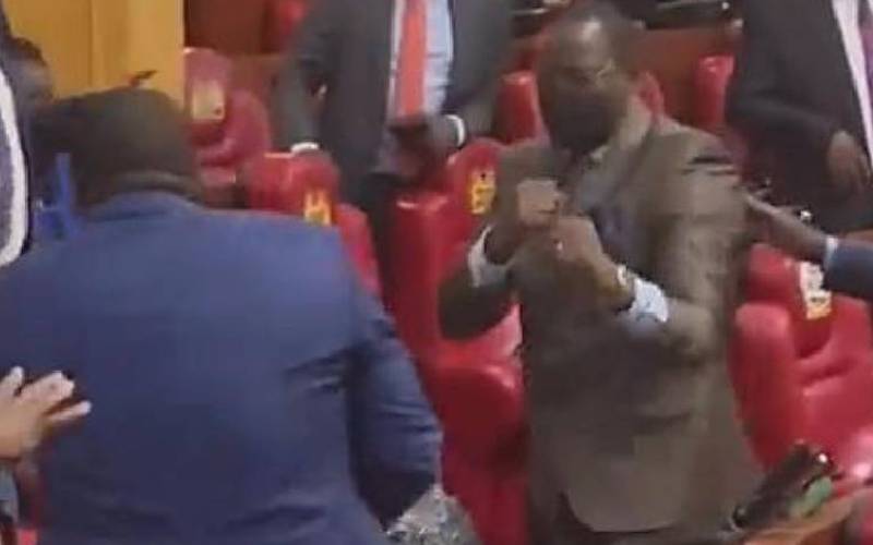 Parliament chronicles: Keeping up with the politicians reality show is finally here