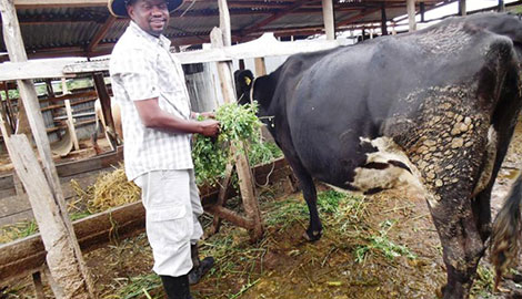 Doctor finds dairy therapy for arid village