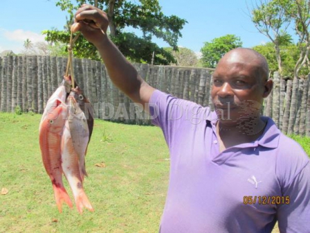 Hopeful fishermen look to 'magic' gadget to fish in deep sea - The Standard