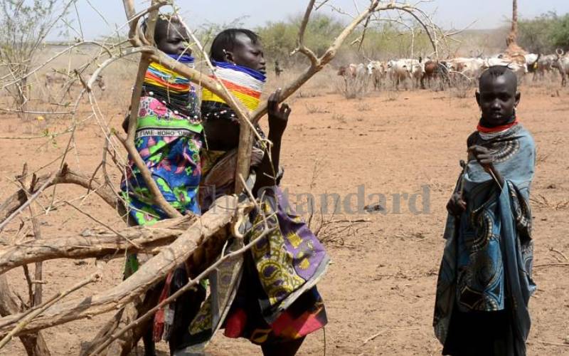 Residents of Kapedatie, Turkana West grapple with drought and attacks from neighbouring communities from South Sudan. [Mike Ekutan, Standard]