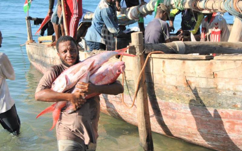 Fishing industry: Sleeping giant in Coast 