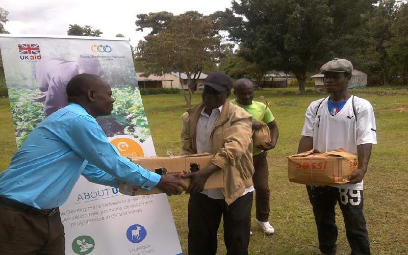 Food security project ignites hope in Homa Bay farmers