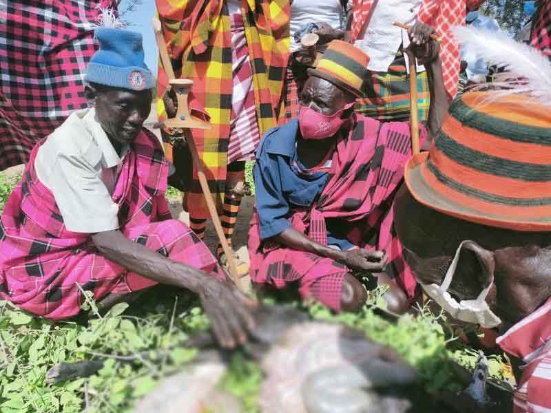 For the Turkana, goat intestines predict rains, raids, droughts, diseases