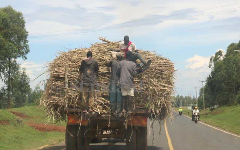 Men hanging on a tractor in Mumias 