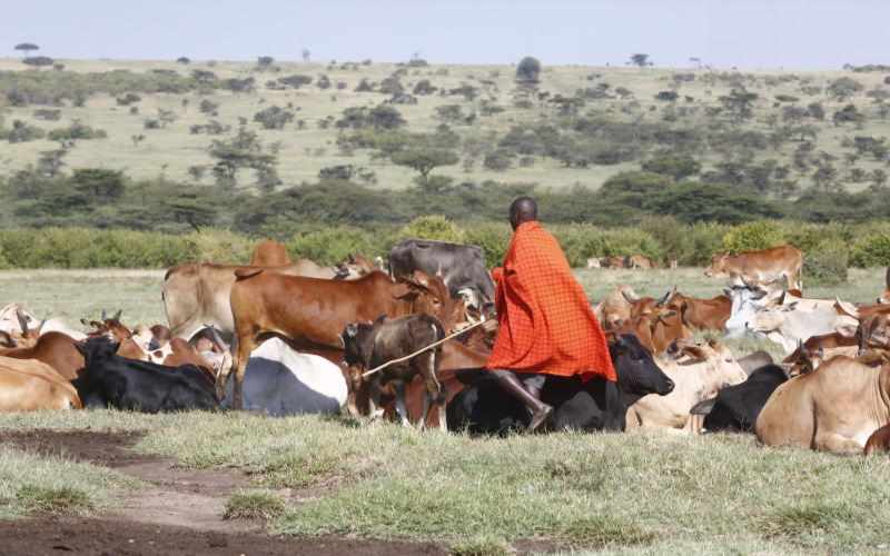 Herders trained on diversity and climate change resilience