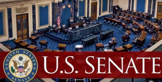 How Georgia seats could tip scales in the Senate