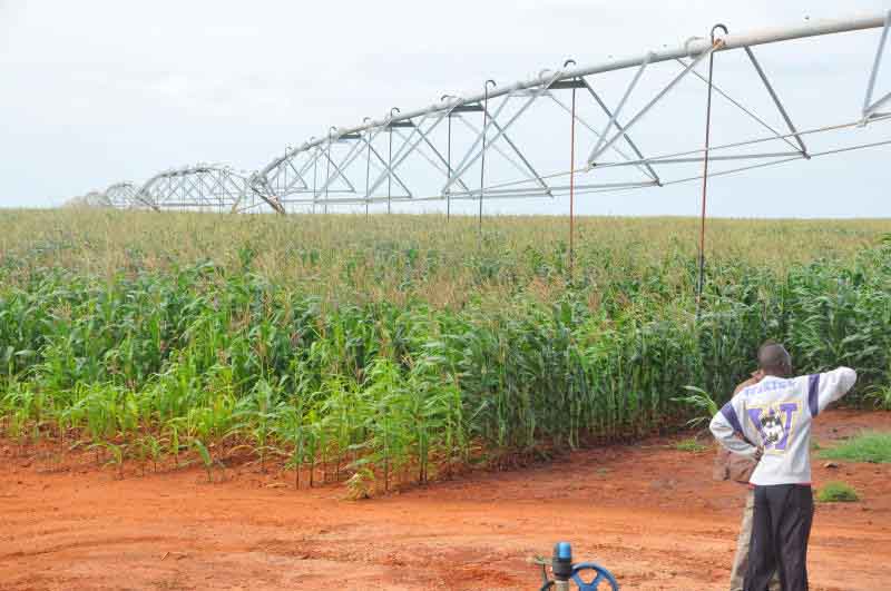 How local investors, Saudi prince made peace in Galana Kulalu deal