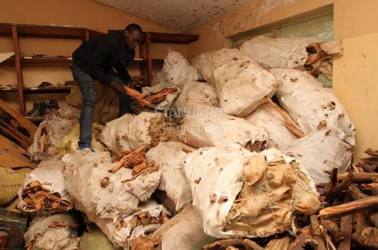 How sandalwood fuels lucrative illegal logging in Kenya