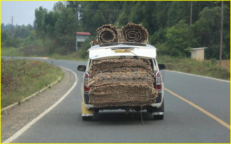 Probox ferrying mats in Kakamega County.