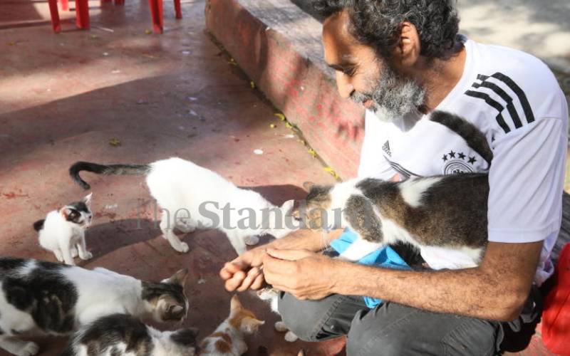 I'm 'married' to my cats, says man who feeds the tabbies chapati and beef 