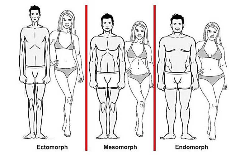 How To Determine What Body Type You Are