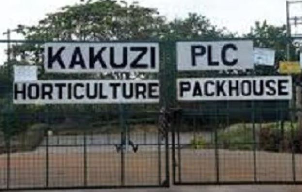 Kakuzi sues rights activists over abuse case