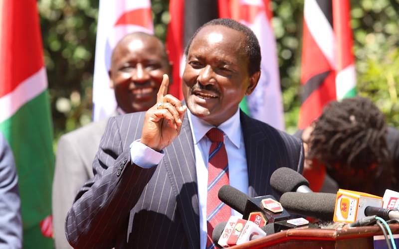Kalonzo Musyoka's three options in race for State House 