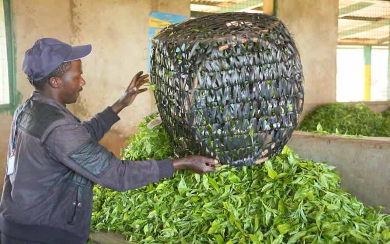 Kenyans should talk more on the new Tea Act as it rolls out