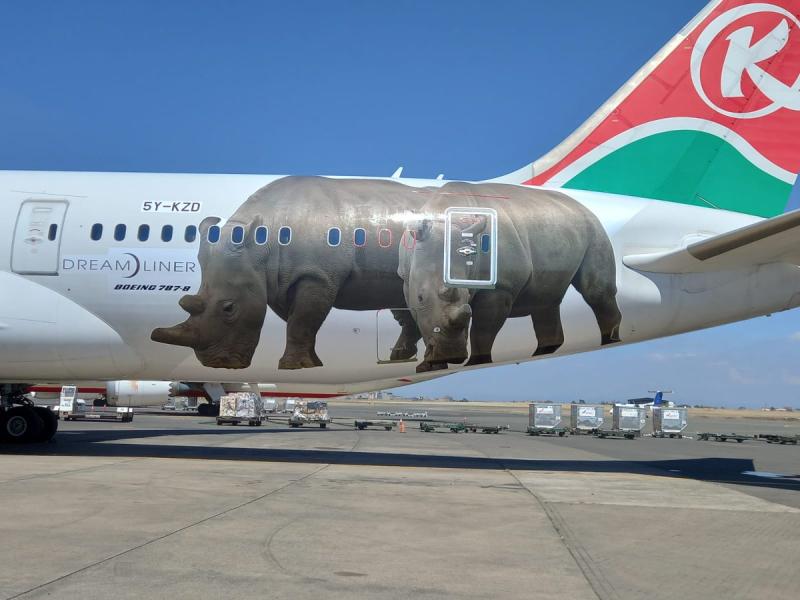 KQ brands planes with wildlife images to support tourism