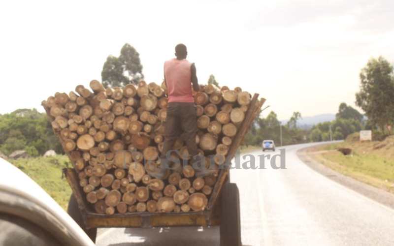 Man hanging on a tractor (Lessos-Kapsabet Rd)