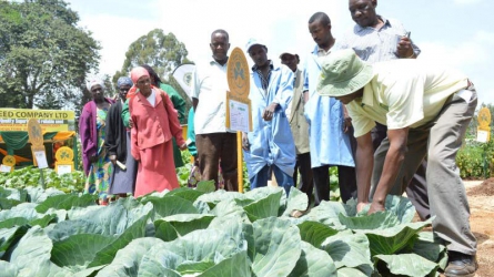 Meru farmers urged to embrace technology