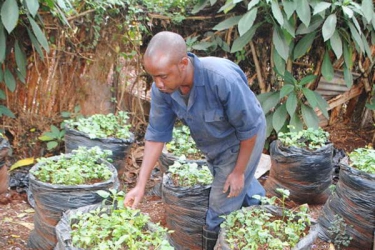 My girlfriend left me because I chose farming