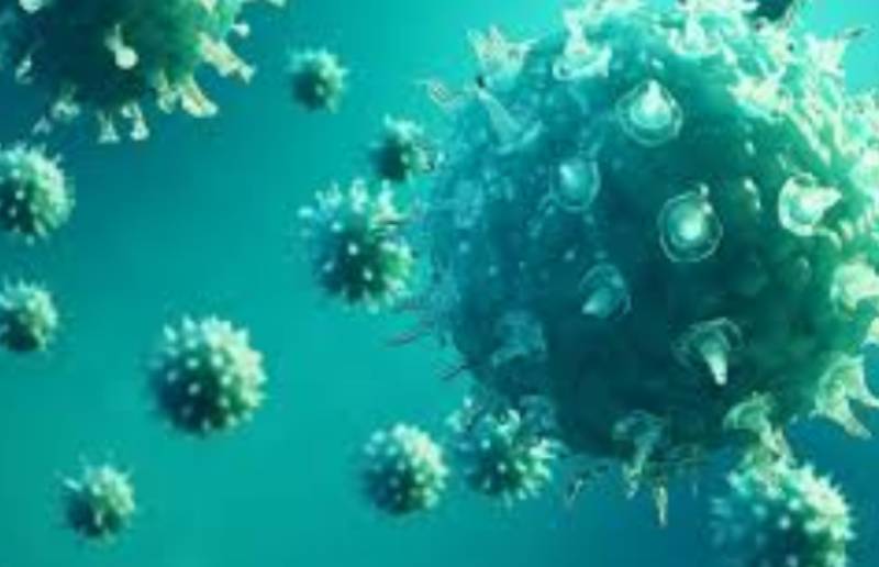 Nature has issued its warning, lethal viruses abound