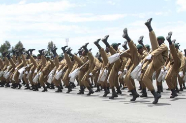 NYS: Tale of three firms, one director and Sh791m