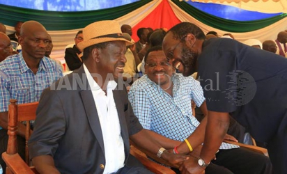 Raila Odinga vows to push out IEBC officials