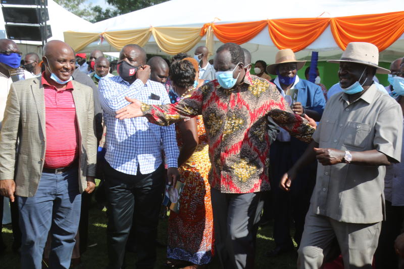 Reforms will not raise our wage bill, Raila tells Kenyans