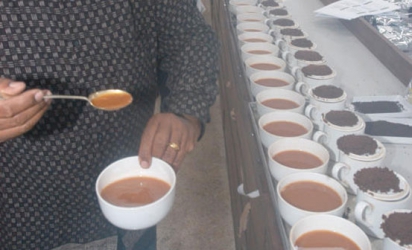 Rethink plan to move tea selling to e-auction platform