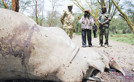 Environment Cabinet Secretary Judy Wakhungu (centre) and senior KWS officers at the scene where a rhino was killed by poachers at Lake Nakuru National park, on Friday. [PHOTOS: BONIFACE THUKU/ STANDARD] 