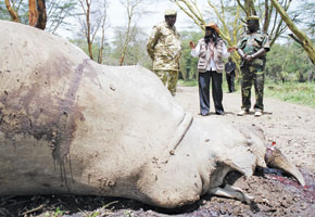 Poaching menace hits private ranches hardest