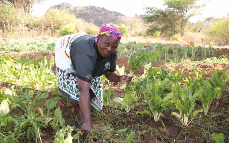 Rural women farmers need support