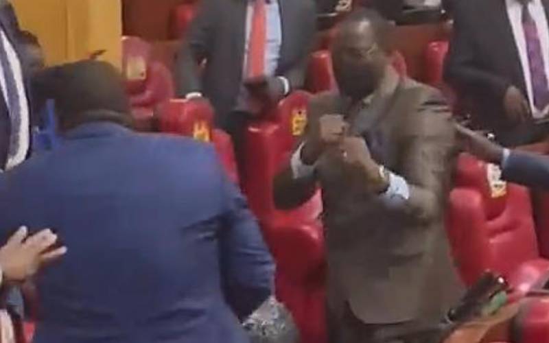 Scenes in Parliament should make us laugh at our foolish mistakes