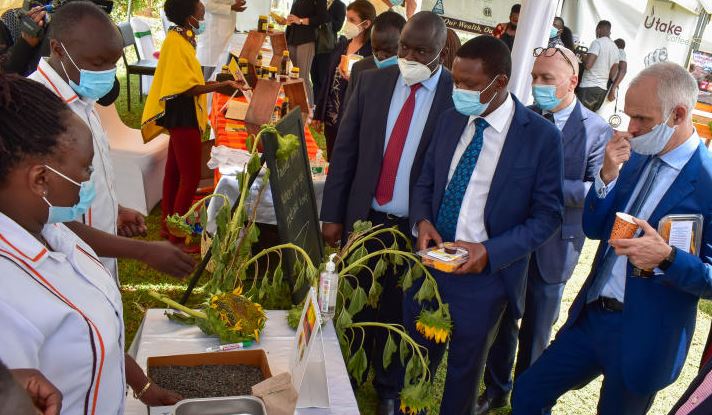 Sh5b agribiz programme to fund women, youth projects