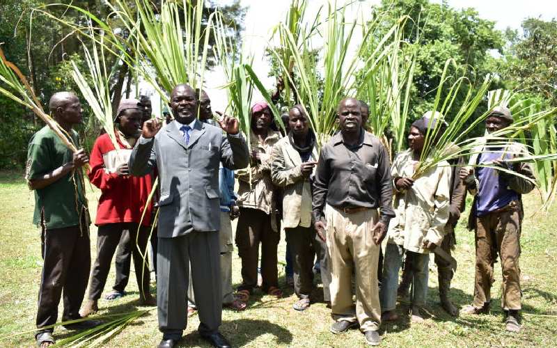 Smallscale farmers bear the burden of delayed revival of millers