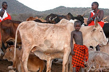 State warns over foot and mouth disease