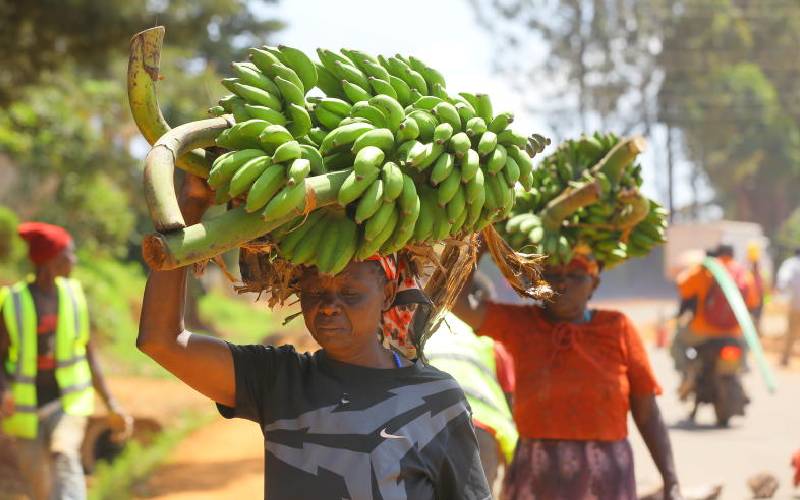 Steps to cut through the crowded banana market